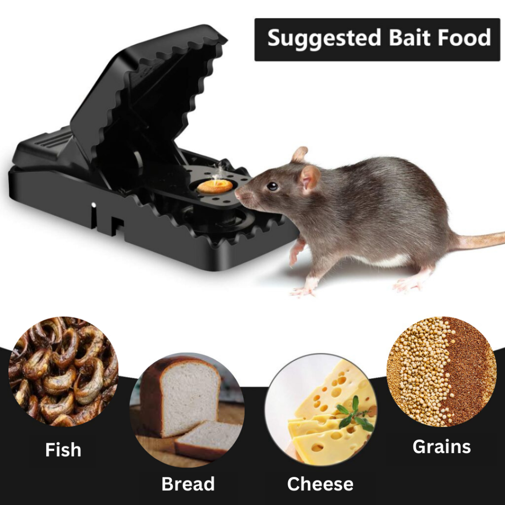 🔥REUSABLE RAT TRAP