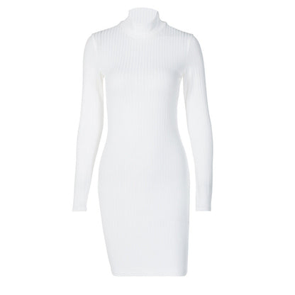 Unveiling the Allure of the Victoria Ribbed Turtleneck Mini Dress